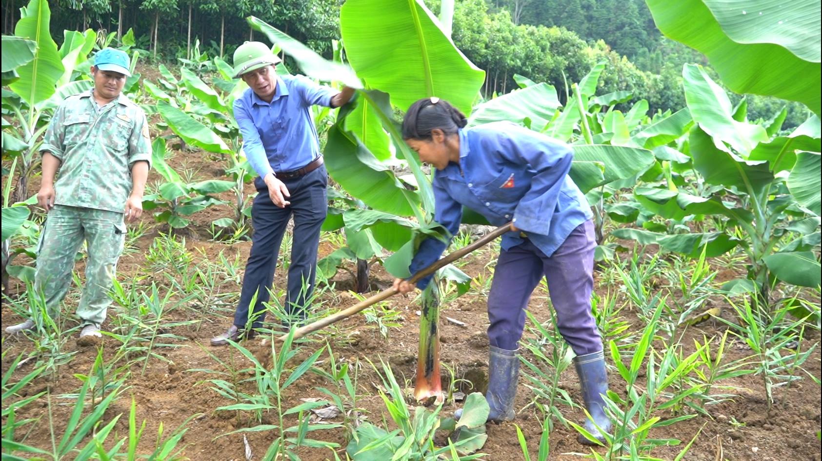 anh tin bai